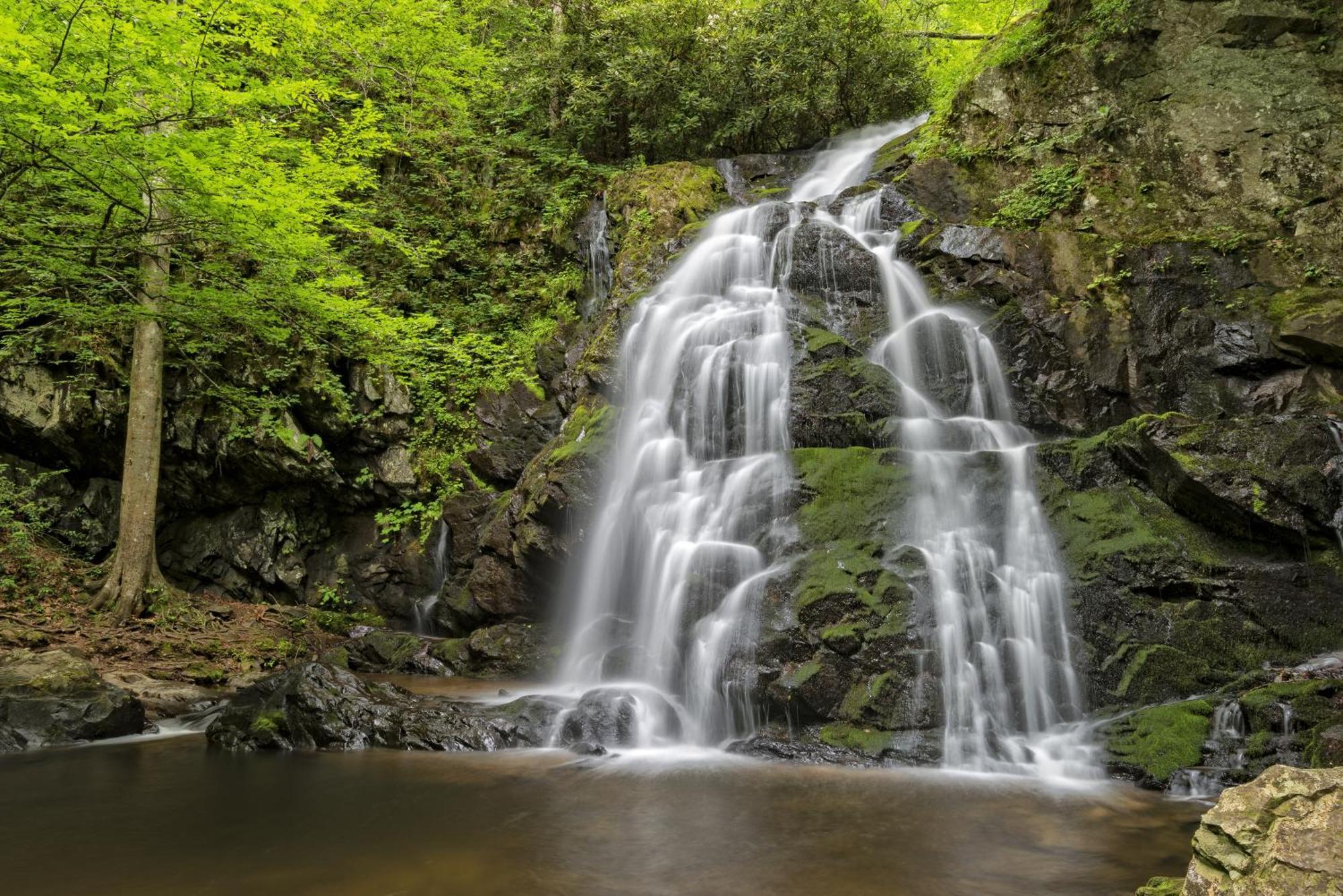 Highland Dream, Hot Tub, 1089 Free Tickets Each Paid Day, Dollywood And More Sevierville Ngoại thất bức ảnh