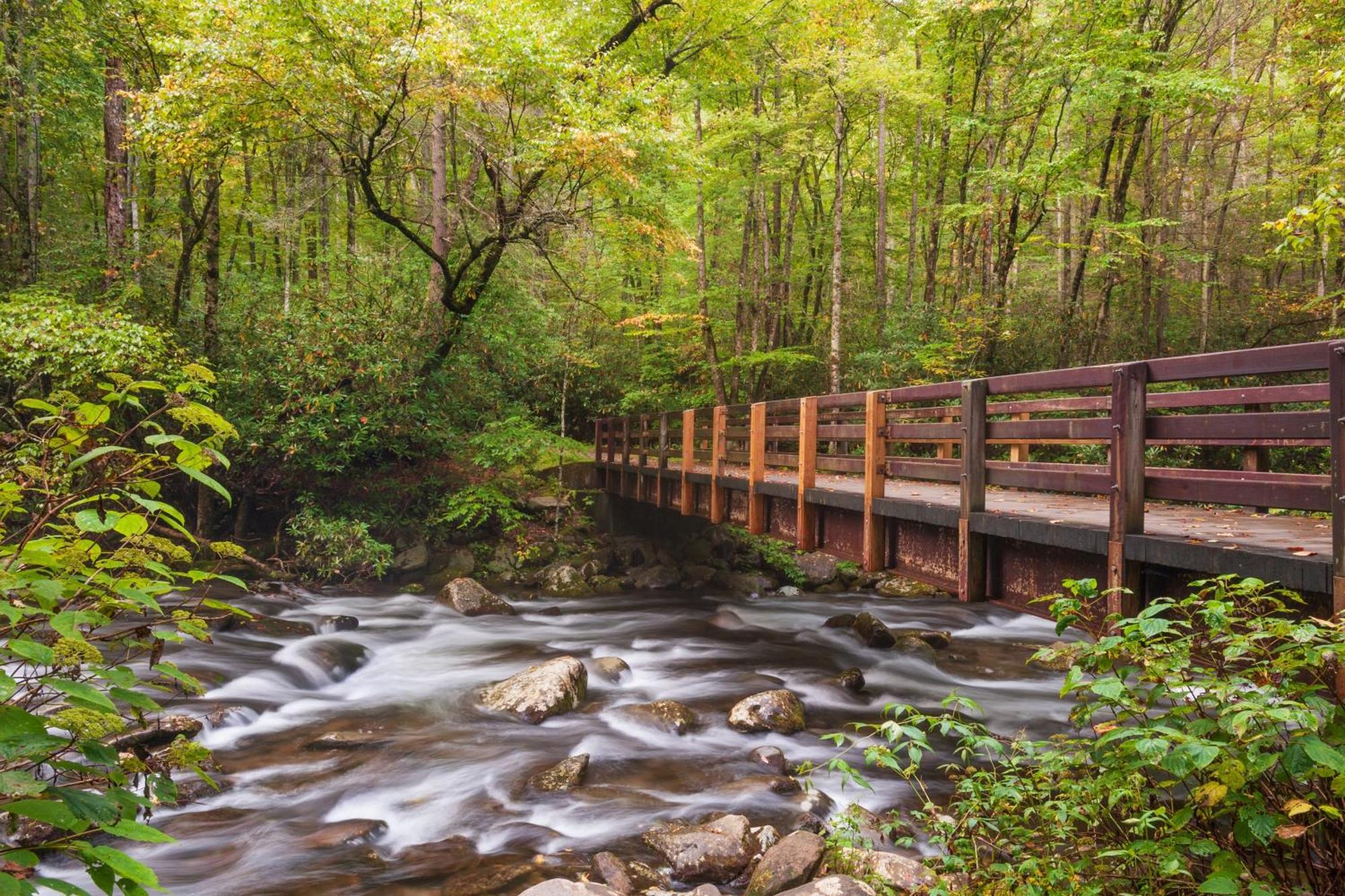 Highland Dream, Hot Tub, 1089 Free Tickets Each Paid Day, Dollywood And More Sevierville Ngoại thất bức ảnh